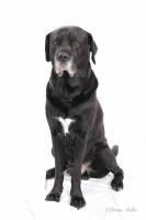 Perrine MULLER - PERIINE MULLER PHOTOGRAPHE