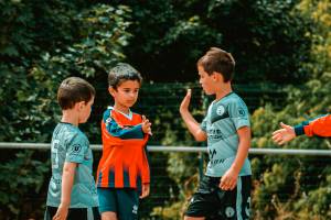 Mahefasoa PINEAU - LAED Compagnie