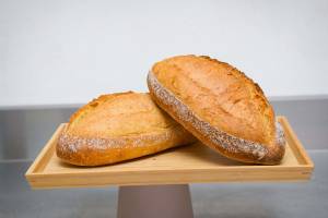 Mahefasoa PINEAU - LAED Compagnie